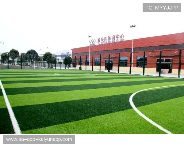 构建体育公共服务标准化宣传内容支持平台,体育公共服务供给